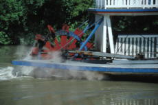 Suwanee Boat Paddle Wheel