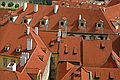 The Red Roofs of the Little Quarter - Praha