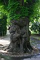 The Big Tree - The Royal Gardens - Praha